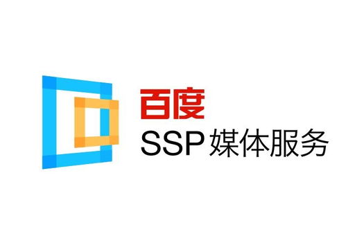 蜘蛛池怎么搭建效果好,蜘蛛池怎么搭建效果好一点